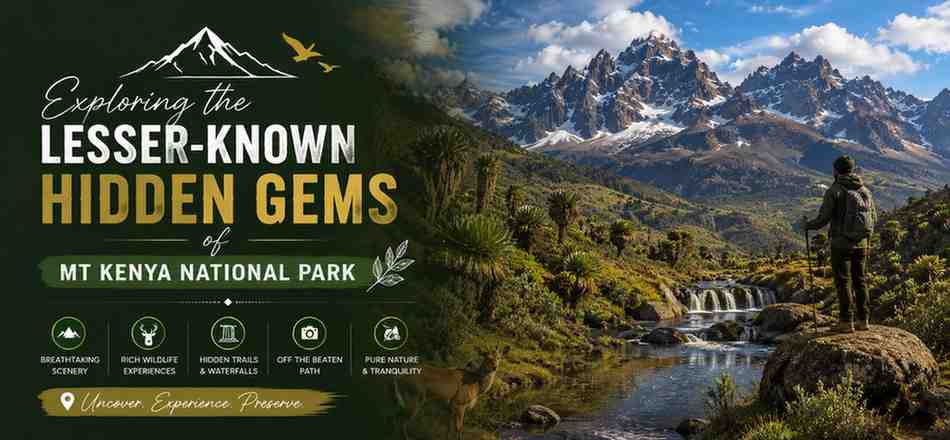 Mt Kenya National Park