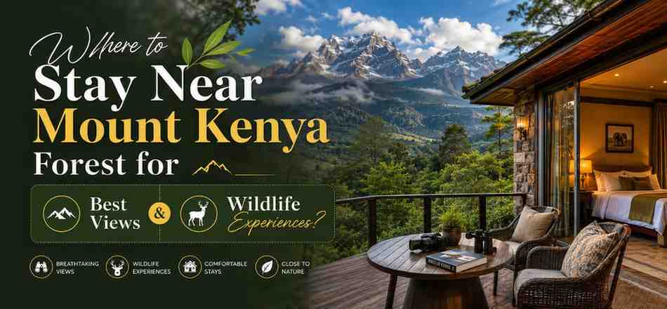Stay Near Mount Kenya Forest