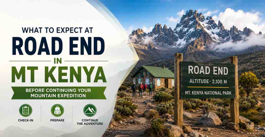 What to Expect at Road End in Mt Kenya Before Continuing Your Mountain Expedition