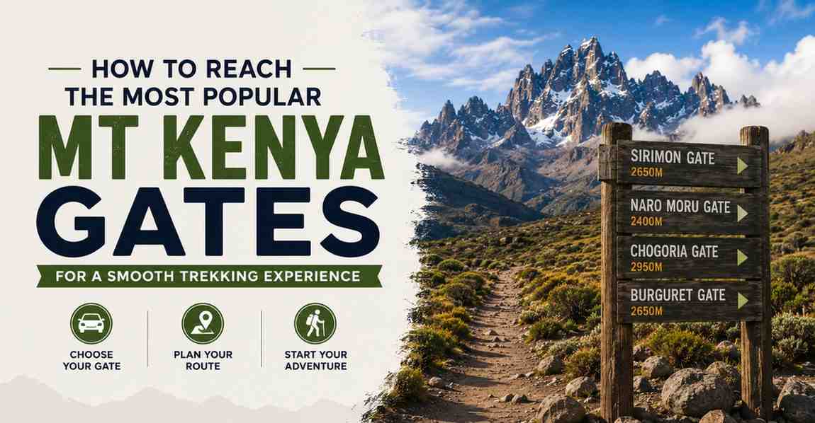 How to Reach the Most Popular Mt Kenya Gates for a Smooth Trekking Experience